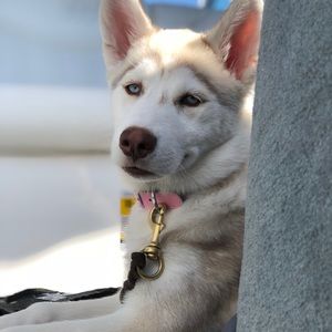 Meet your Posher, Payton